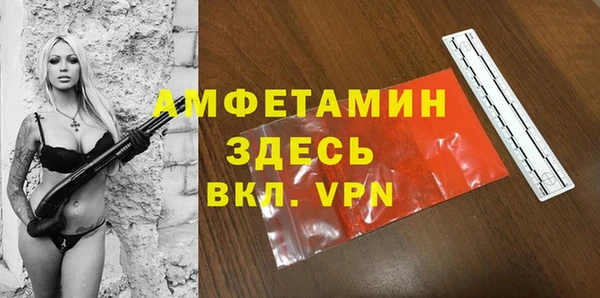 стаф Горняк