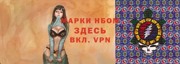 мдпв Горнозаводск