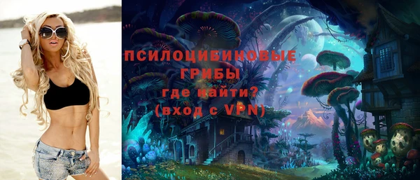 мдпв Горнозаводск