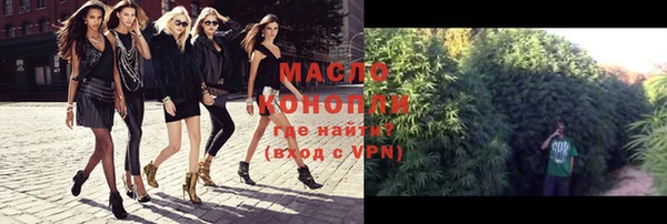 стаф Горняк