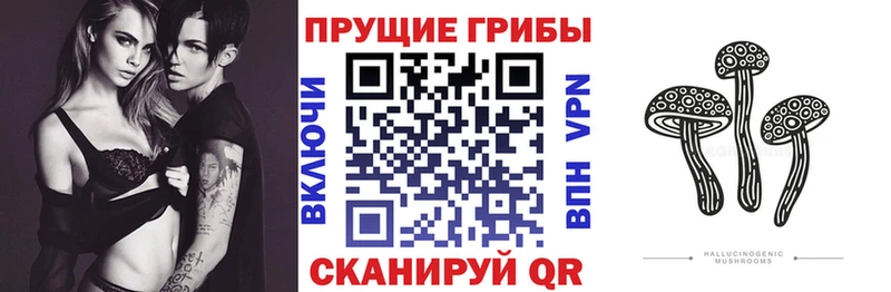 Псилоцибиновые грибы прущие грибы  Купить где  Краснодар 